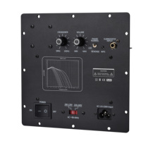 Amplificateur de plaque numérique en métal pour subwoofer 300W |   Amplificateur domestique avec module d'amplification de basses de classe D à faible bruit et panneau arrière
