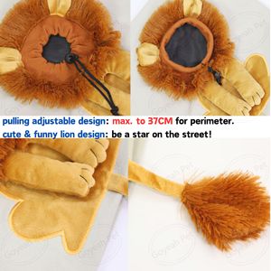 Divertido Diseño De León portador de mascotas al aire libre transpirable ventana ajustable bolsa de hombro <span class=keywords><strong>para</strong></span> mascotas <span class=keywords><strong>para</strong></span> gatos - Product Image 5