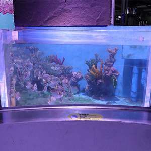 Coral <strong>Rock</strong> Combo Faux Coral PU Resin <strong>Aquarium</strong> Decoration Simulated Coral <strong>Reef</strong> Landscape Fish Tank Set - Product Image 5