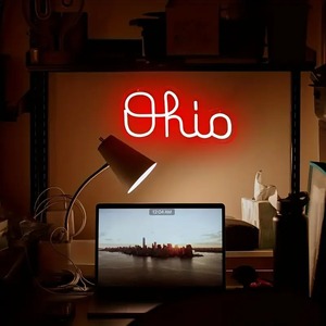 Ohio State LED Neon burcu USB Powered dim işık duvar dekor için barlar yurtta adam mağara yatak odası parti olay veya hediye - Product Image 6