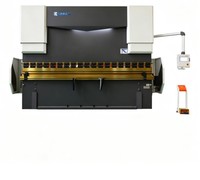 Prensa Plegadora CNC de Barra de Torsión de Rendimiento Confiable 250T4000 TP10S con Programación de Ángulo para Acero al Carbono