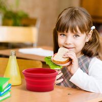 Récipients de stockage de nourriture pliables en silicone avec couvercles Boîtes à lunch pour piles de voyage