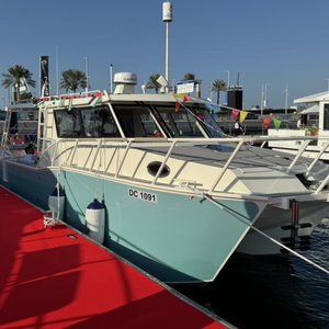 Catamarán de Pesca Estable de Aluminio de 33 pies (10m) para Uso en Alta Mar - Product Image 1