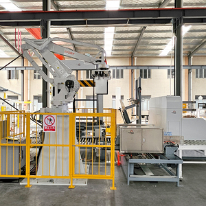 Tự động các tông palletizer và carton sóng xếp chồng Robot - Product Image 6