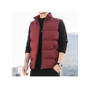 Chaleco Corto de Algodón Grueso y Cálido para Hombre, Estilo Coreano, a la Moda, para Otoño e Invierno - Product Image 1