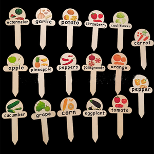 Etichette in Legno Rustico Dipinte a Mano per Piante, Eco-friendly, Stile Folk Art, per Identificazione di Frutta e Verdura, Decorazioni per la Casa - Product Image 2