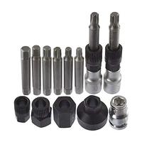 Kit de Herramientas para Polea de Alternador de 13 Piezas, Herramienta de Extracción de Polea de Alternador para Coche, Extractor de Desacoplamiento de Polea