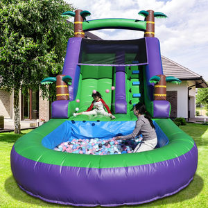 Alquiler de Toboganes Inflables Acuáticos para Fiestas, Tobogán Inflable de Grado Comercial con Piscina para Niños, Material de PVC - Product Image 2