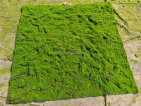 S02520 vente en gros de fausse mousse art mural plante de sphaigne panneau mural de mousse artificielle préservée mousse verte pour la décoration quotidienne de la maison