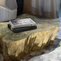 Table basse moderne haut de gamme en acier inoxydable doré, mobilier de maison, table basse centrale en métal durable pour salon
