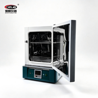 Four de séchage commercial à circulation d'air chaud GLP 220V 125L 300°C pour laboratoire, personnalisation en gros