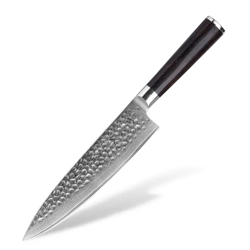 Professionelles 67-Schichten-Damaszener japanisches Messer Kohlenstoffstahl Hammerklinge AUS VG10 Küchenchefmesser mit Ebini-Griff
