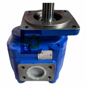 Bomba de Engranajes W42201000 5227803 1163041047A para Maquinaria de Construcción, Repuestos para Bulldozer SEM650B/SEM656D 1163041047A 1163041047 - Product Image 2