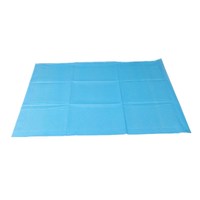 Consommables médicaux jetables d'hôpital 60*90cm Underpad adulte de soins personnels