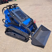 Mini-chargeuse compacte sur chenilles personnalisée avec moteur à essence et pompe hydraulique, faible consommation de carburant, accessoires pour entrepreneurs