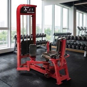 DGZ-5025 Macchina per <span class=keywords><strong>Esercizi</strong></span> <span class=keywords><strong>Adduttori</strong></span>/Aduktor in Acciaio - Pila di Pesi da 70 kg per Body Building - Product Image 4