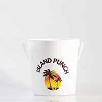 Seau à cocktail en plastique de 1000 ml (32 oz), accessoires de bar, contenants à boissons portables, réutilisables, écologiques, certifiés CE, qualité alimentaire