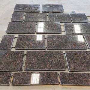 Piedra de Granito Natural Pulida de Color Marrón Claro de Alta Calidad, Ideal para Encimeras de Cocina y Paneles de Pared - Product Image 3