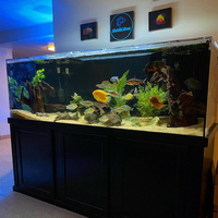 Aquariums ronds en acrylique et plastique personnalisés en usine, 4,5 L, écologiques, durables, élégants
