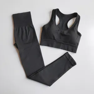 Activewear iki parçalı Set kadın dikişsiz Yoga tayt spor Bra spor salonu egzersiz takım elbise yüksek elastik hızlı kuru koşu spor Yoga kıyafeti