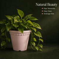 Pot de fleurs en plastique imitation terre cuite de 6 pouces, jardinière décorative pour balcon avec soucoupe