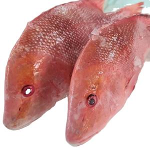 Offre Spéciale : Snapper Rouge Entier Biologique Premium Faible en Sodium, Congelé, Origine États-Unis - Product Image 1