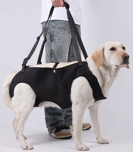 Arnés de Transporte para Perros Grandes, Arnés de Elevación de Cuerpo Completo, Soporte para Patas Traseras, Poliéster Duradero y Ajustable para la Recuperación de Perros Mayores - Product Image 1