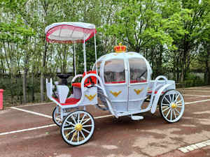 Chariot de Cendrillon électrique pour événement de mariage - Product Image 4