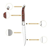 Couteau à steak Laguiole de luxe en acier inoxydable de haute qualité, à lame dentelée, manche en bois, ensemble de couteaux de chef écologiques pour usage en restaurant