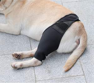 Rodillera para Perros de Fábrica para Lesiones de LCA en Patas Traseras, Rodilleras para Mascotas, Protector de Codo para Perros, Soporte para Lesiones en las Patas, Soporte para Articulación del Muslo, Rodillera para Perros - Product Image 5