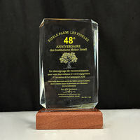 Trophée en cristal rectangulaire personnalisé avec logo sur mesure et base en bois, vente en gros