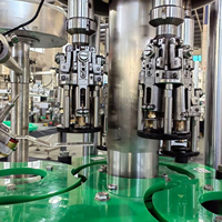 Machine de remplissage entièrement automatique pour le vin, le gin et le rhum