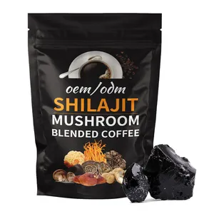 OEM Shilajit-Extrakt Pilz Großhandel Einzelhandel Instant Lingzhi gesunder schwarzer Kaffee für Immunsystem-Verstärkung