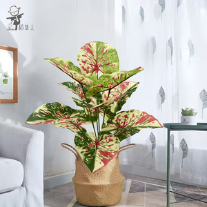 Planta Artificial <span class=keywords><strong>de</strong></span> <span class=keywords><strong>Oreja</strong></span> <span class=keywords><strong>de</strong></span> <span class=keywords><strong>Elefante</strong></span> con Puntos Rojos, en <span class=keywords><strong>Maceta</strong></span>, para Decoración <span class=keywords><strong>de</strong></span> Bodas y Pascua, Producto Nuevo en Venta - Product Image 1