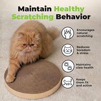 Lot de 5 poteaux à gratter ronds robustes pour chat, jouet interactif d'intérieur pour protéger le mobilier et protéger les griffes