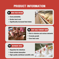Aliment prémélangé pour poules pondeuses en phase de maturité intermédiaire et tardive OEM – Prémélange d'aliments pour poulets boostant la ponte et enrichi en acides aminés