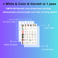Imprimante UV DTF Univari 60 cm, imprimante jet d'encre rouleau à rouleau, vernis blanc en 1 passage pour TPU, verre cristal, boîte en PVC