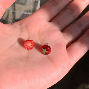 Aretes Pequeños con Forma de <span class=keywords><strong>Tomate</strong></span> para Mujer, Diseño Creativo, Joyería de Resina, Accesorios - Product Image 1