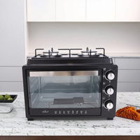 Four à Gaz LPG Mini Portable 30L avec Brûleur Intégré, Cuisinière à Gaz Commerciale et Domestique pour Camping Extérieur