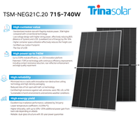 Panneaux solaires bifaciaux Trina N-Type 550W 600W 700W 710W 720W 725W 730W 735W 740W 750W Type N pour système d'énergie solaire domestique