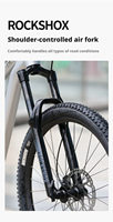 Bicicleta de Montaña de Carbono de Alto Módulo con Eje Pasante Boost, Amortiguador Trasero de Aire, Neumáticos Maxxis, Servicio de Pintura Personalizada para Carreras de Montaña Amateur