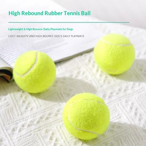 Balle de tennis flottante en caoutchouc élastique pour <span class=keywords><strong>chien</strong></span>, résistante à l'usure, <span class=keywords><strong>jouet</strong></span> d'extérieur pour chiot, <span class=keywords><strong>chien</strong></span> de taille moyenne/grande, vente en gros - Product Image 5