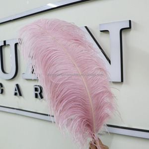 Chất lượng cao 70-75 cm 28-30inch lớn màu trắng đà điểu lông nhuộm bên lễ hội đám cưới trang trí thủ công số lượng lớn đà điểu chùm - Product Image 4