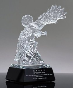 Neuankömmling Custom ized <span class=keywords><strong>Crystal</strong></span> <span class=keywords><strong>Award</strong></span> Farb bedruckte <span class=keywords><strong>Crystal</strong></span> Trophy <span class=keywords><strong>Crystal</strong></span> Eagle-Trophäe