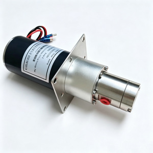 Pompe à engrenages magnétique Li Yu Mini en acier inoxydable 316, 24V, 300L, H200M, auto-amorçante, résistante aux acides et aux alcalis, haute température - Product Image 3