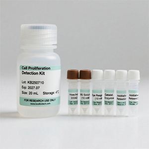 क्लिक-यह कोशिका जीव विज्ञान और ऑन्कोलॉजी अनुसंधान कोशिका प्रसार का पता लगाने के लिए EdU-488 फ्लोरोसेंट रासायनिक अभिकर्मकों किट - Product Image 1