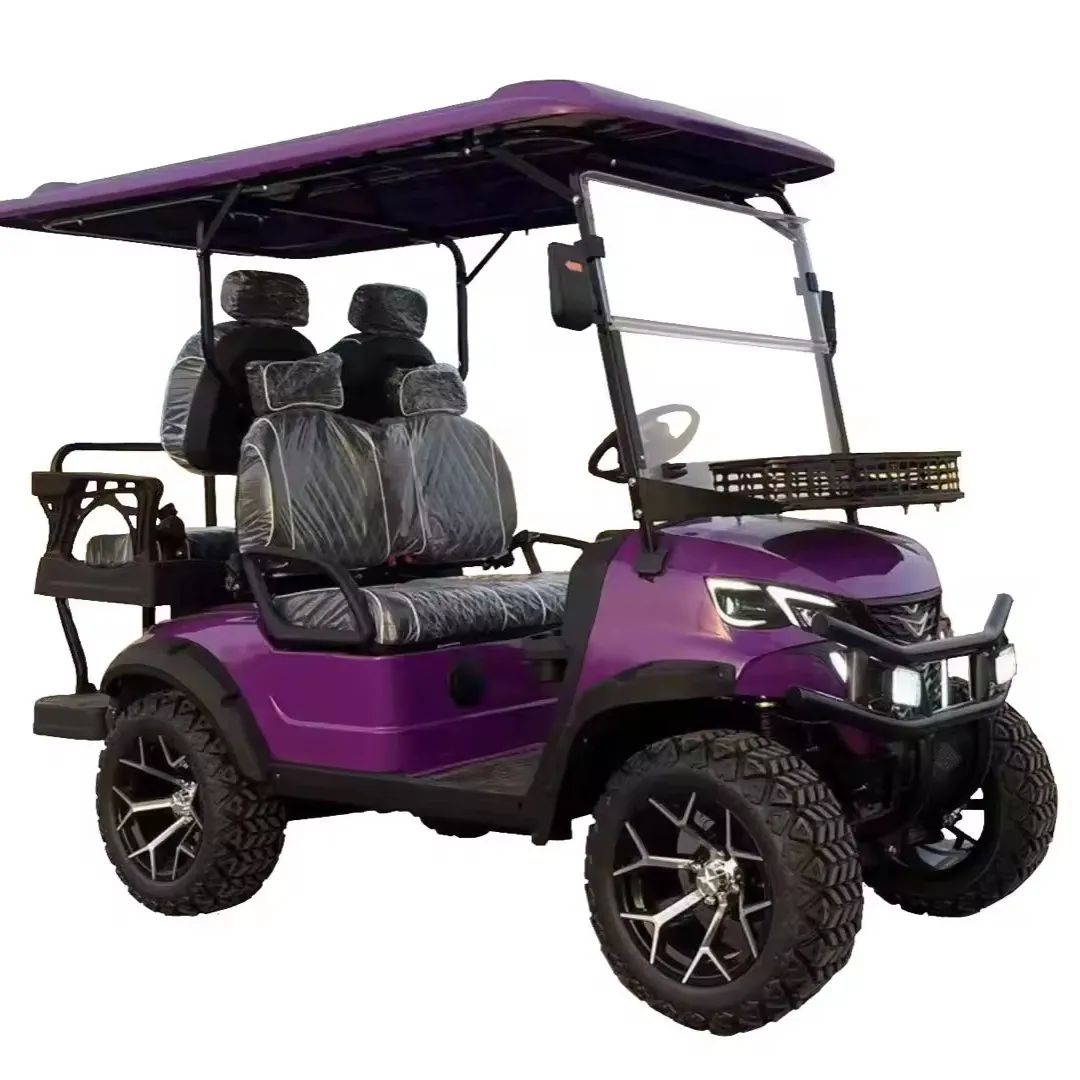 工場新モデルゴルフカート2シートゴルフバギー電気リチウムゴルフカート