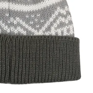 Kış şapka kadın örme bere özel Logo yüksek kaliteli akrilik düz 100% akrilik Unisex ortak yetişkinler görüntü