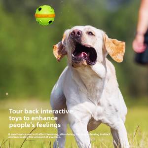 Çevre dostu dayanıklı silikon <span class=keywords><strong>Pet</strong></span> çiğnemek oyuncak aperatif dağıtım topu köpek sabır eğitim çene kas gevşeme için açık - Product Image 4