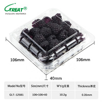 125 gram voedselveilige recyclebare PET wegwerp plastic doos voor blauwe bessen, fruit, groenten, landbouw, ISO9001 gecertificeerd